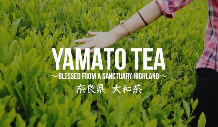 奈良県「大和茶」の魅力を伝えるプロモーション動画